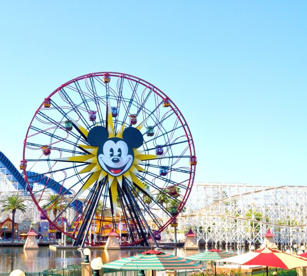 20+ Things to Do in Disneyland California – Once Upon a Theme Park