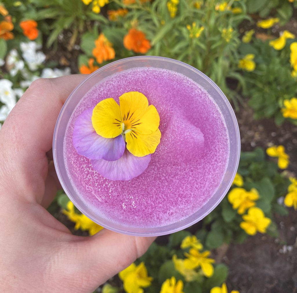 frozen violet lemonade at epcot