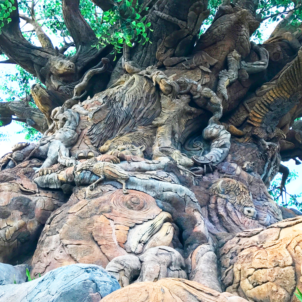 tree of life close up animal kingdom disney world