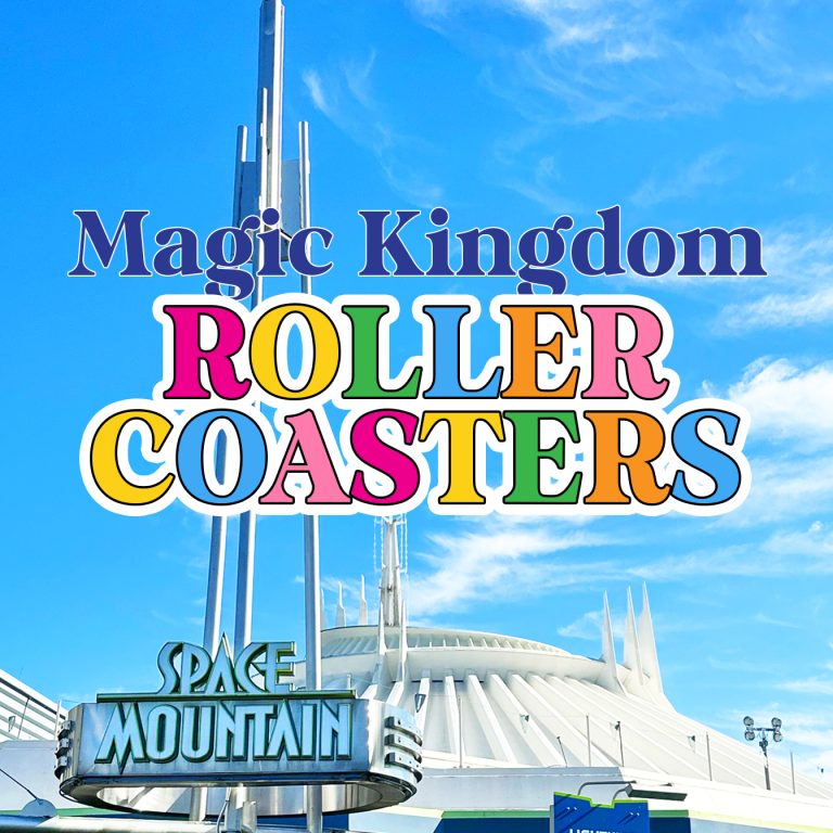 magic kingdom roller coasters with space mountain sign in foreground