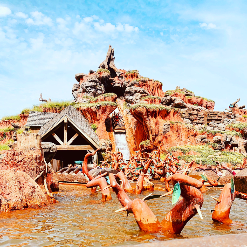 original splash mountain at magic kingdom